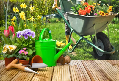Home and Garden